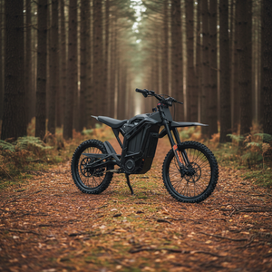 Moto tout-terrain longue portée WR-6.0 avec batterie lithium sans balais à couple élevé pour adultes - Product Image 1