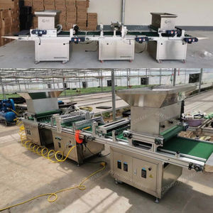 Offre Spéciale légumes et graines de fleurs plateau automatique machine à semer plateau de pépinière semoir machine pour planter des graines dans le plateau de semis - Product Image 5