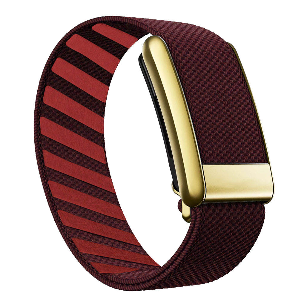 4#-Gold Frame *Only Strap