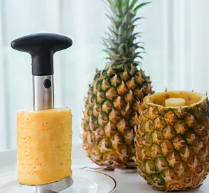 Sıcak Popüler Yüksek Kalite Ananas Cilt Çıkarma Makinesi Meyve Soyma/çarpma Makinası/ananas dekorasyonumuzu soyucu