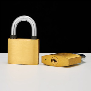Feihuan fabbrica Heavy Duty in ottone lucchetto 60mm di alta sicurezza con 3 chiavi impermeabile anello di gomma e candridad segridad - Product Image 6