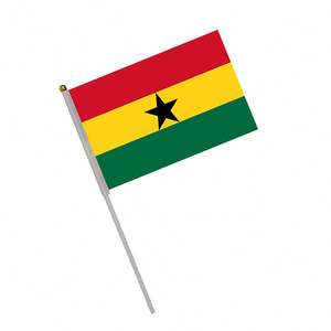 En stock, disponible dans tous les pays : Mini drapeaux de supporter nationaux pour la Coupe de football, à agiter à la main, à prix abordable - Product Image 6