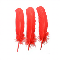 Plume de dinde teinte pour artisanat DIY Coiffe Chapeau Costume Cosplay Accessoire Carnaval Fête Mariage Maison Décor Floral