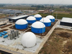 Réservoir de stockage de biogaz à double membrane AMOCO certifié CE, support de biogaz, couvercle de biogaz - Product Image 4