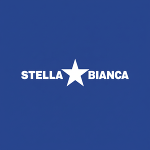 Set di 5 punte diamantate multiuso per gres porcellanato 067 cs5 stella bianca - Product Image 1