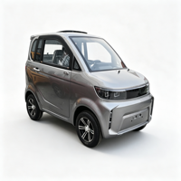 Voiture électrique miniature à 4 roues fermée, véhicule électrique à basse vitesse, petite voiture électrique pour adultes, pour les trajets quotidiens.