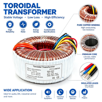 Transformateur toroïdal haute puissance 500W 50/60Hz 110V/240V entrée double sortie 45V pour amplificateur audio et composants sonores