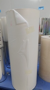 Amido <span class=keywords><strong>di</strong></span> mais PBAT sostenibile Eco Friendly plastica PLA compostabile <span class=keywords><strong>imballaggio</strong></span> biodegradabile <span class=keywords><strong>rotolo</strong></span> <span class=keywords><strong>di</strong></span> <span class=keywords><strong>pellicola</strong></span> - Product Image 4