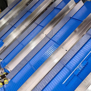 Línea de Empaquetado con Transportador de Cadena Flexible de Alta Eficiencia y Bajo Costo, Antibacteriano/Antiestático, para Empacar Productos en Tiras - Product Image 1