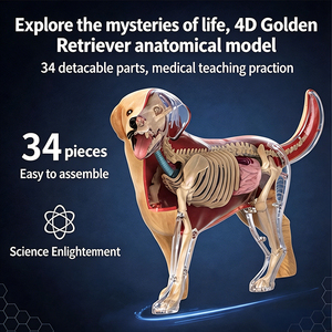 Kit scientifique interactif STEM, modèle anatomique d'animaux 3D, cadeaux d'anniversaire pour enfants et coffret de compétences scientifiques et d'ingénierie - Product Image 2