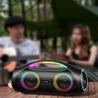 Enceinte portable 30W étanche IPX5 pour fêtes en extérieur avec lumières LED RGB sans fil 5.3, batterie rechargeable, modèle Aux LS-X2