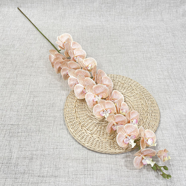 #3 Orchidée 15 Têtes