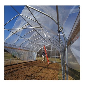 Agricultural plastic 150 Micron Greenhouse Film Greenhouse Polythene Film Israel Plastik Film for Greenhouse