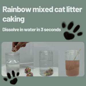 Vente en gros label privé litière <span class=keywords><strong>pour</strong></span> <span class=keywords><strong>chat</strong></span> arc-en-ciel tofu sable bentonite étape fraîche motif de boule agglomérante prix bon marché litière <span class=keywords><strong>pour</strong></span> <span class=keywords><strong>chat</strong></span> - Product Image 4