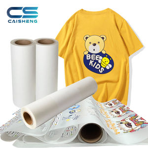 Film phosphorescent Dtf Pet Ink Powder and Film Rouleau de transfert de chaleur Peel à chaud <span class=keywords><strong>pour</strong></span> jet d'encre Tshirt Film <span class=keywords><strong>antistatique</strong></span> <span class=keywords><strong>Feuille</strong></span> de 33 cm - Product Image 6