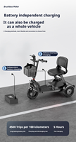 Scooter électrique pliable à 3 roues, 1000W, moteur sans balais, léger, best-seller, pour les trajets quotidiens de courte durée