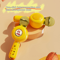 Microphone sans fil professionnel éducatif pour filles et enfants avec connecteur Type C - Jouet musical portable rechargeable