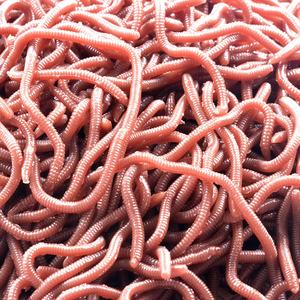 केंचुए लाल कीड़े कृत्रिम मछली पकड़ने Lures कीड़ा swimbait लालच - Product Image 2