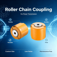 Accouplement à chaîne à rouleaux durable avec matériau forgé trempé, résistant à la chaleur et à la corrosion, économique et peu coûteux pour l'application