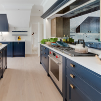 DAIYA efficacité unité de cuisine avec shaker design porte marbre granit comptoir unités de cuisine