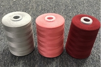 Fil à coudre en polyester 40/2 Hilo De Coser 5500 mètres TEX 27 pour la couture de vêtements et le fil à coudre