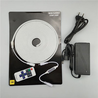 La bande lumineuse au néon personnalisée Offre Spéciale DC12V IP67 imperméabilisent les lumières LED intelligentes extérieures de 3535 SMD