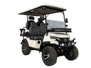 Carro 6 8 Seater 2-4 Assentos Gasolina Carrinho De Golfe Levantado Elétrico Off-Road Golf Buggies com Baterias