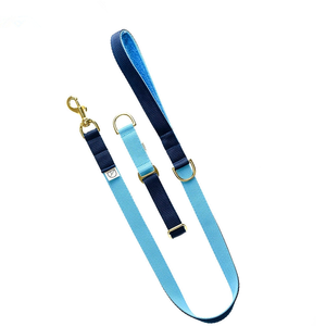 Luxuriöse Haustierprodukte: Verstellbare Nylon-Hundehalsbänder und Leinen-Sets mit passender Leine und goldfarbenen Metallbeschlägen - Product Image 4