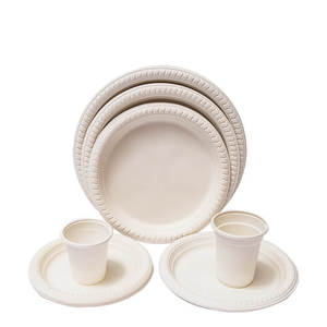 Disposable Dinner Plates Square Plastic 6 Dessert