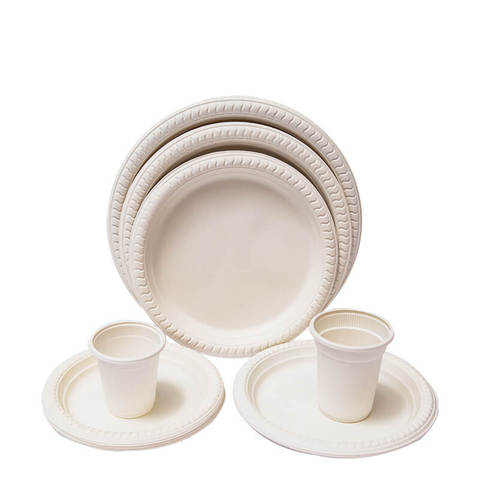 Disposable Dinner Plates Square Plastic 6 Dessert