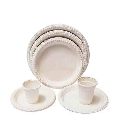 Disposable Plates Weddings Takeout Fast Food Serving Trays