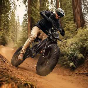 Bicicleta Eléctrica Jansno X50, Bicicleta de Montaña y Carretera, Cuadro de Aleación de Acero de 20 Pulgadas, Neumáticos Gruesos, Deportiva, X50-17AH, Envío Directo - Product Image 5