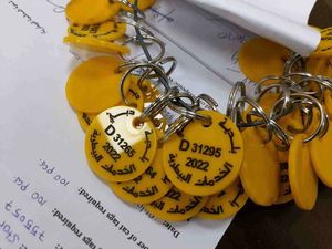 2Mm/3Mm/4Mm Tùy Chỉnh Trong Suốt Keychain Thẻ Thẻ Nhựa Số Tấm In Acrylic - Product Image 3