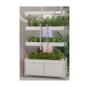 Agricultural Greenhouse Hydroponics Farm Growing System Cabinet Smart Indoor Vertical Grow Container