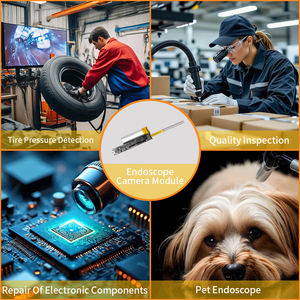 Module de caméra endoscopique sans fil 3,5 mm 0,3 MP WIFI 30 ips Garantie 10 ans pour l'examen interne du bétail et vétérinaire - Product Image 2