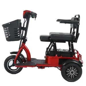 Leichte und hochwertige elektrische Dreiräder Dreirad antrieb Erwachsene Dreirad Elektro puiss