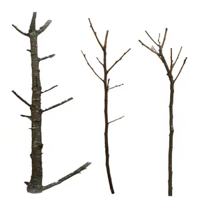 Aquarium Fish Tank Yeux Bois Naturel Driftwood Décor Art - Product Image 3