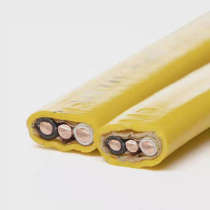 <span class=keywords><strong>สาย</strong></span><span class=keywords><strong>ไฟ</strong></span>ฟ้าสีเหลือง NMB Nm-b 12/2 <span class=keywords><strong>14</strong></span>/2 <span class=keywords><strong>14</strong></span>/3 10/2 <span class=keywords><strong>Awg</strong></span> 600v 8 เกจ สำหรับงานเดินสาย<span class=keywords><strong>ไฟ</strong></span>ในอาคาร 12/2 สำหรับใช้ในบ้านในสหรัฐอเมริกา - Product Image 3