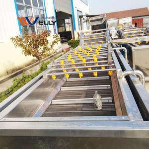 Livraison rapide bulle petite pomme de terre racine légume à feuilles <span class=keywords><strong>fraise</strong></span> germes de soja Machines à laver prix - Product Image 6