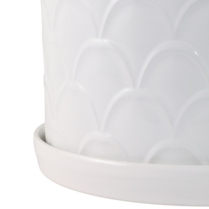Vasi decorativi con design a conchiglia e sottovasi per piante da interno ed esterno, succulente ed erbe aromatiche, eleganti - Product Image 5