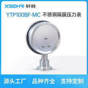 Manómetro de Diafragma de Acero Inoxidable Suzhou XuanSheng, 100 mm, Precisión 1.6, YTP100BF MC - Product Image 5