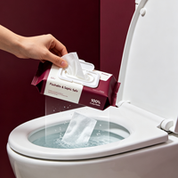 Lingettes Désodorisantes Écologiques Langqiao en Gros B2B – Extra Douces et Antibactériennes, Jetables dans les Toilettes pour une Fraîcheur Personnelle et un Usage Quotidien