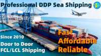 Zhongshan Shantou Qinghuangdao DDP Expédition maritime fiable porte à porte Fret maritime Chine vers Algérie Longoni Casablanca Tangier