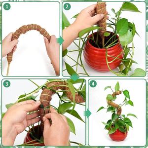Paquete de 2 postes de musgo flexibles Monstera, accesorios de soporte <span class=keywords><strong>para</strong></span> plantas, estacas de enrejado <span class=keywords><strong>para</strong></span> interiores <span class=keywords><strong>para</strong></span> escaladores en macetas, macetas altas <span class=keywords><strong>para</strong></span> macetas - Product Image 3