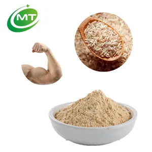 Organik yüksek saf gdo olmayan katkı maddeleri Gluten içermeyen kahverengi pirinç Protein tozu kas ve pişirme