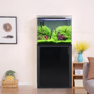 Acquario <span class=keywords><strong>Sen</strong></span> per Soggiorno con Fondo in Vetro, Illuminazione LED e Alta Trasparenza per Pesci Rossi - Product Image 4