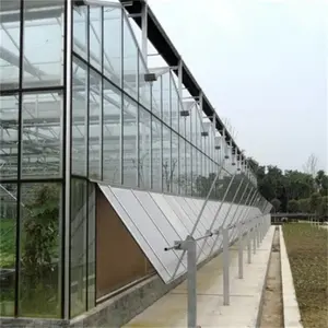 Szklarnia Glas gewächshaus Gewächshaus struktur verzinkter Stahl hochwertige Standard glas gewächs häuser zum besten Preis