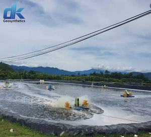 カスタマイズされたエビ池ナマズ池ファームライナージオメンブレンHDPE <span class=keywords><strong>LDPE</strong></span> LLDPE防水池ライナー排水膜ジオメンブレン - Product Image 3