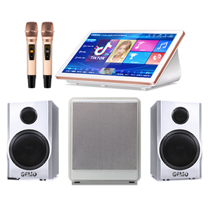 Sistema de Karaoke Portátil de 19 Pulgadas con Altavoces Subwoofer y Caja de Sonido - para Máquina de Karaoke en Casa - Product Image 6