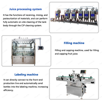 Ananas Mango Sap Verwerkingslijn/Vruchtensap Productielijn Machine